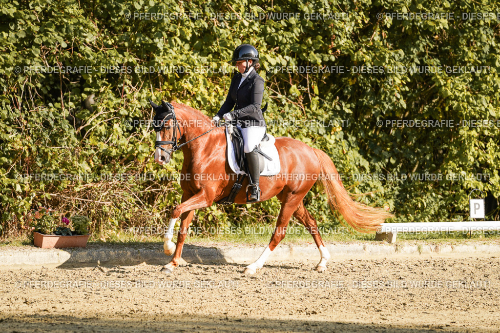 DSC05975 | Pferdegrafie