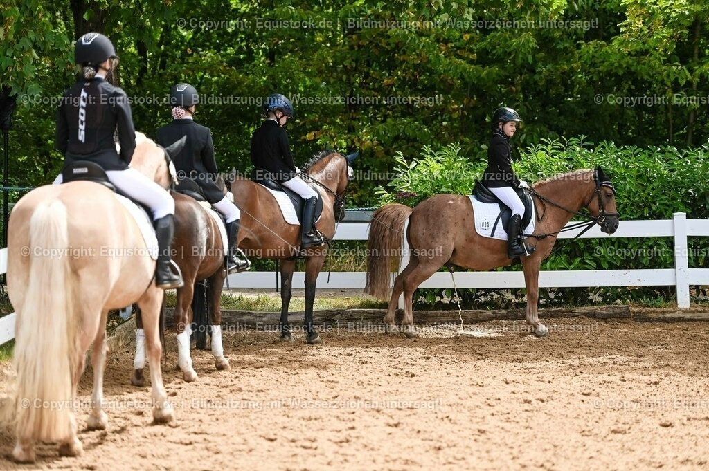 20230716_10-3_Reiter-WB Schritt - Trab - Galopp_0133 | equistock
