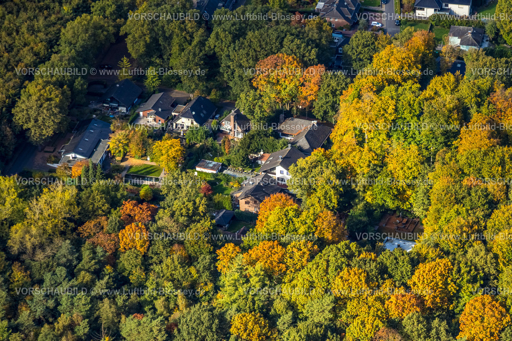 Emmerich251005460 | Luftbild, Vogelnamen-Wohnsiedlung im herbstlichen Wald, Amselweg, Borghees, Emmerich am Rhein, Niederrhein, Nordrhein-Westfalen, Deutschland