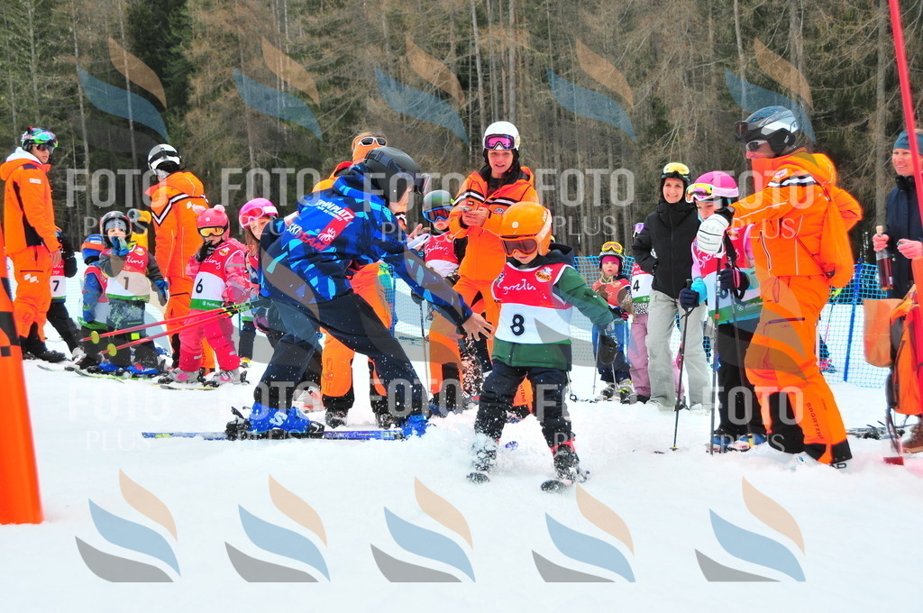 C1100 | holidayphoto