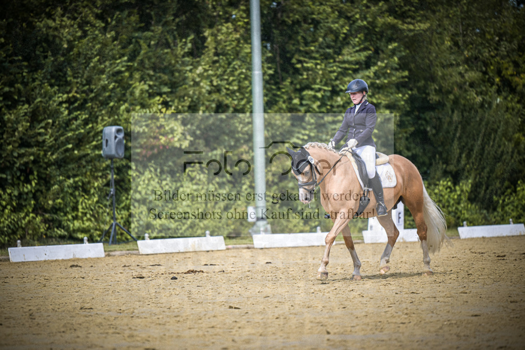DOS_3796 | Entdecke hochwertige Reitturnierfotos von Foto Oger. Professionell, emotional und authentisch – jetzt Lieblingsmomente im Shop bestellen.Deutschlandweite Turnierfotografie. - Realisiert mit Pictrs.com