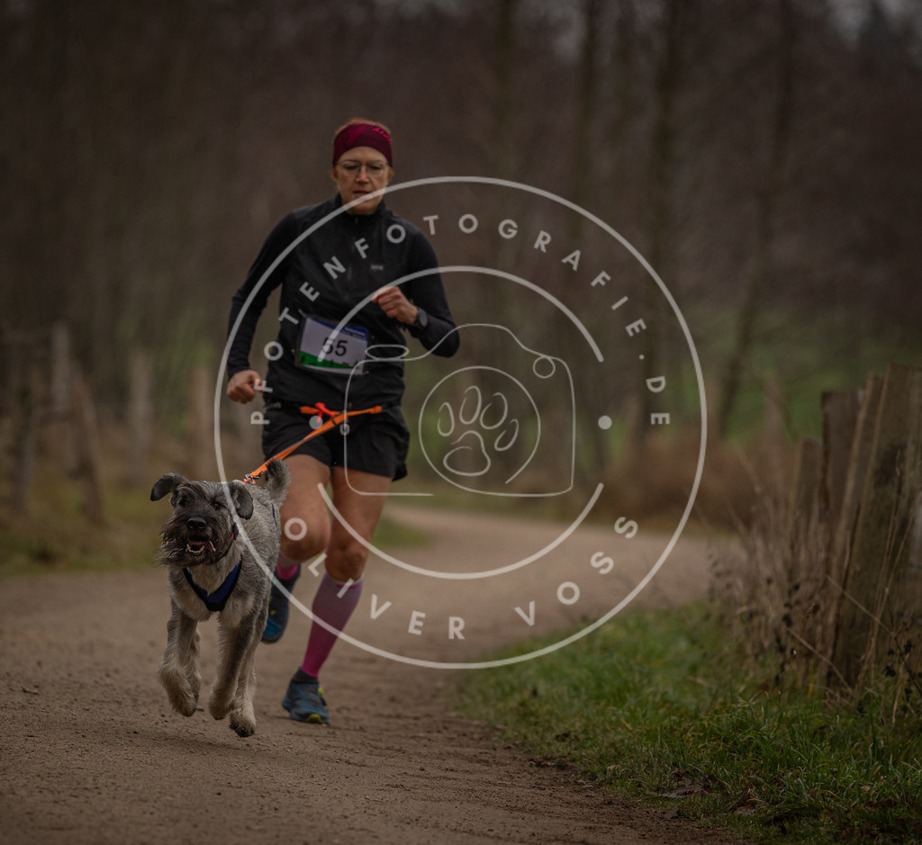 Pfotenfotografie_DV3A3019 | Hundefotografie, Tierfotograf, Pfotenfotografie, Fotoshooting Hund, Hunde Portrait, Hundesport, Hundeportraits, Heideshooting, Hunde, Sportfotograf, Hundefotograf, Turnierhundsport, THS,  - Realisiert mit Pictrs.com