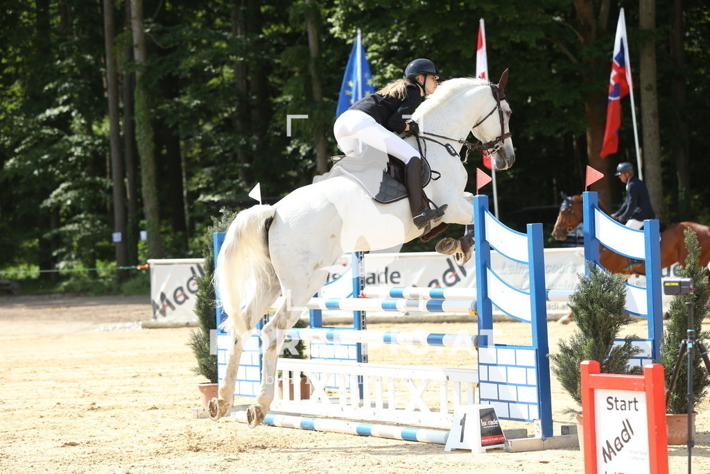 DL2Q1116 | Willkommen bei Brunnmayr - Design & Fotografie – Ihrem Spezialisten für Reitturniere und Pferdeveranstaltungen in Oberösterreich, Salzburg und Bayern! Seit über 17 Jahren sind wir leidenschaftlich dabei.