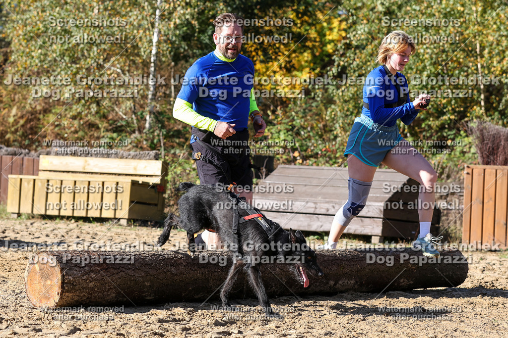 Dog Paparazzi - Strongdog 10-25-2892 | Dog Paparazzi Jeanette Grottendiek Fotografie & Videografie - Realisiert mit Pictrs.com