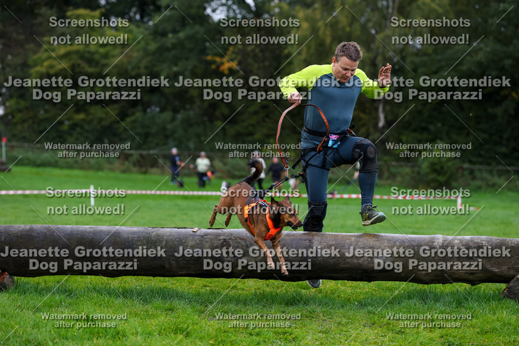 Dog Paparazzi -  SD1026-1372 | Dog Paparazzi Jeanette Grottendiek Fotografie & Videografie - Realisiert mit Pictrs.com