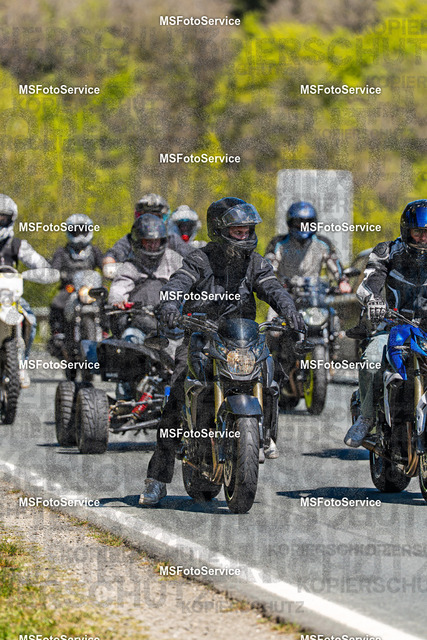 MSFotoServiceXXX434 | MSFotoService - Realisiert mit Pictrs.com
