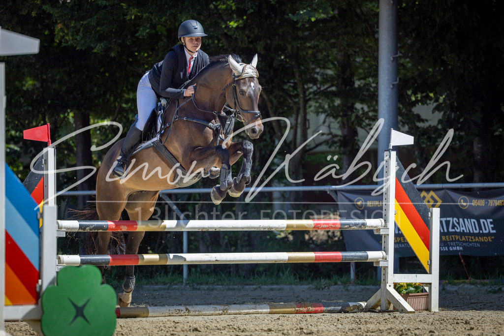 20260704-_3LI7754 | Tierfotografie Pferde, Hunde, Katzen, Haustiere.
Turnierfotografie Reitturniere, Reiten, Springreiten, Dressur in Hanau, dem Main-Kinzig-Kreis und dem Rhein-Main- Gebiet um Frankfurt