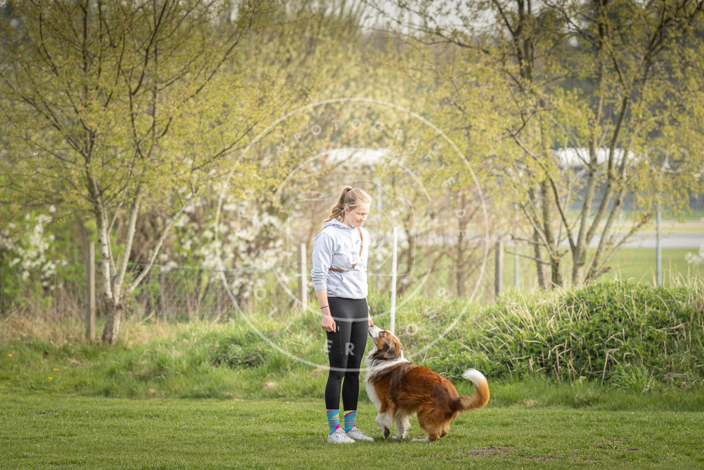 Pfotenfotografie_DV3A4963 | Hundefotografie, Tierfotograf, Pfotenfotografie, Fotoshooting Hund, Hunde Portrait, Hundesport, Hundeportraits, Heideshooting, Hunde, Sportfotograf, Hundefotograf, Turnierhundsport, THS,  - Realisiert mit Pictrs.com