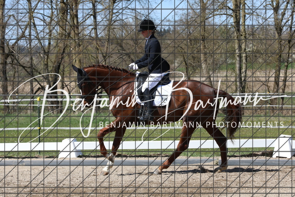 AZ2A4282 | Benjamin Bartmann Photomoments