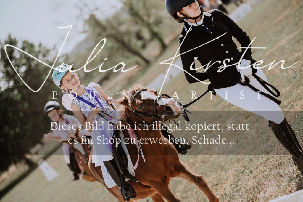 DSC_9080 | Pferde- und Turnierfotografie in Westsachsen. Pferdeportraits, Auftragszeichnungen und intuitive Kunst.