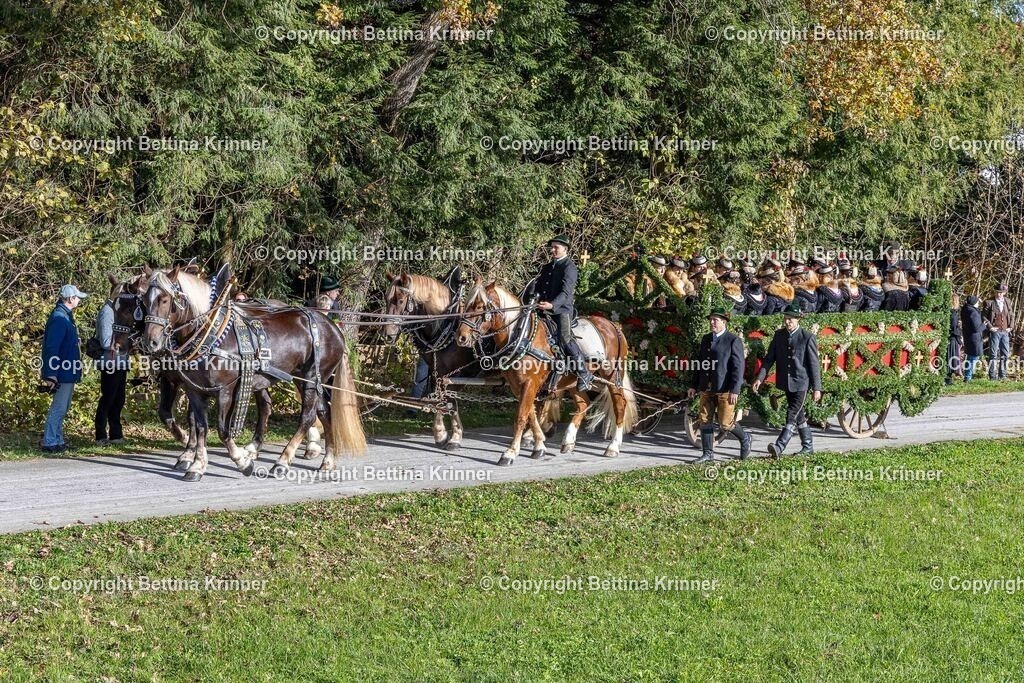 LBT24-739 | foto-bettina-krinner - Realisiert mit Pictrs.com