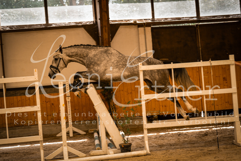 FrFS00007 | Leoni Ertmer Photography - Realisiert mit Pictrs.com