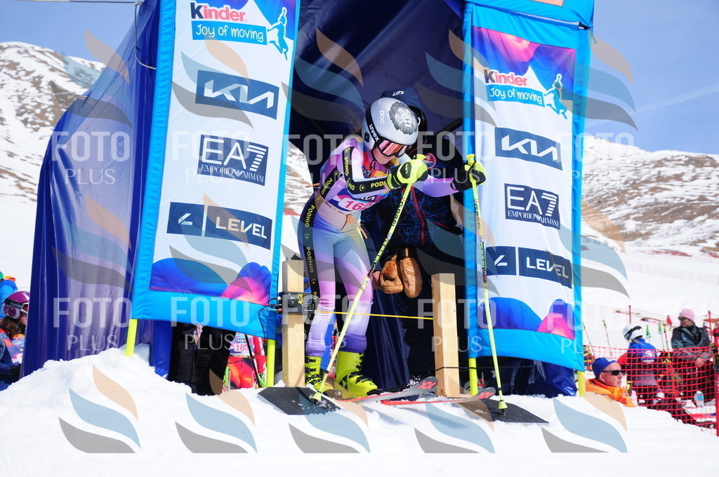 DSC_5395 | holidayphoto