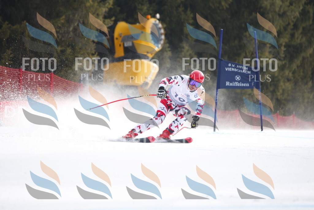 D6484 | holidayphoto