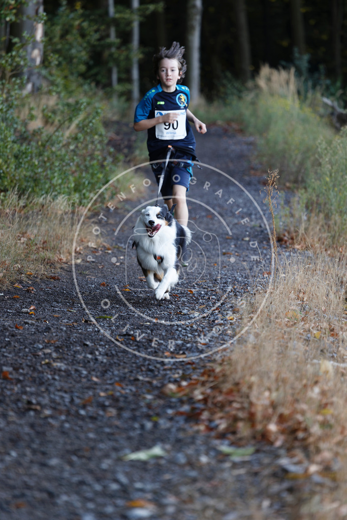 0L8A2161 | Hundefotografie, Tierfotograf, Pfotenfotografie, Fotoshooting Hund, Hunde Portrait, Hundesport, Hundeportraits, Heideshooting, Hunde, Sportfotograf, Hundefotograf, Turnierhundsport, THS,  - Realisiert mit Pictrs.com