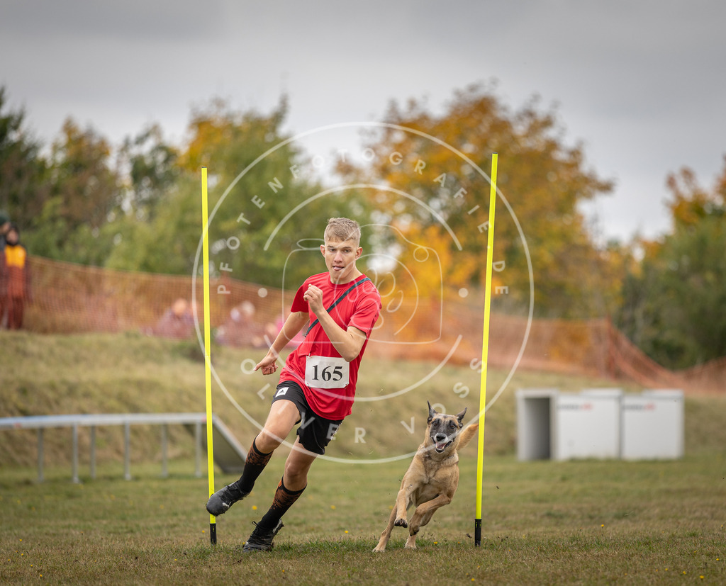 Pfotenfotografie_DV3A5272 | Hundefotografie, Tierfotograf, Pfotenfotografie, Fotoshooting Hund, Hunde Portrait, Hundesport, Hundeportraits, Heideshooting, Hunde, Sportfotograf, Hundefotograf, Turnierhundsport, THS,  - Realisiert mit Pictrs.com