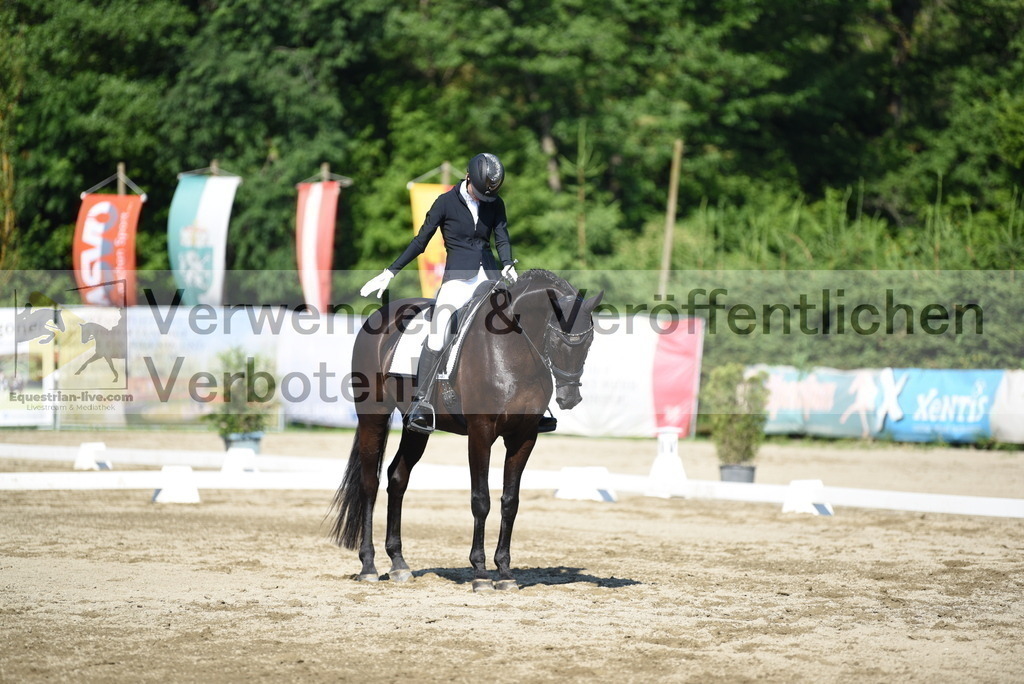DSC_7355 | equestrian-live-com
