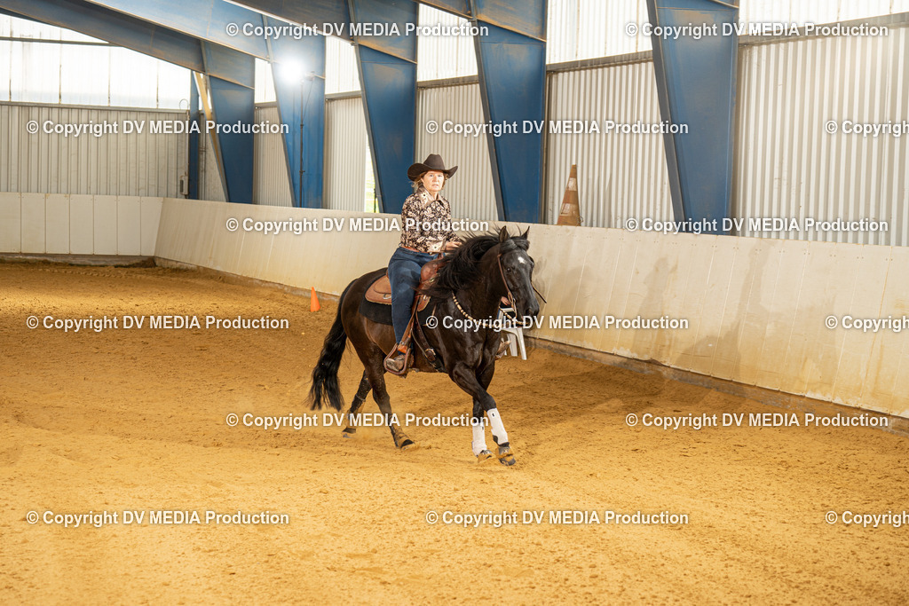 MIT00171 | dv-media-shop - Realisiert mit Pictrs.com