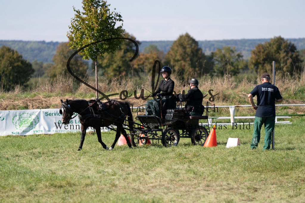 A7V04368 | Pferdefotograf