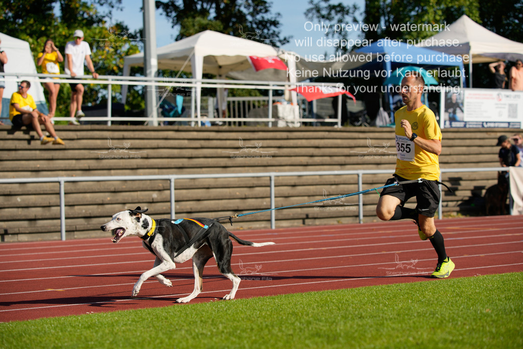 Sonntag_Staffel (317 von 336) | stephaniefillaphotographie - Realisiert mit Pictrs.com
