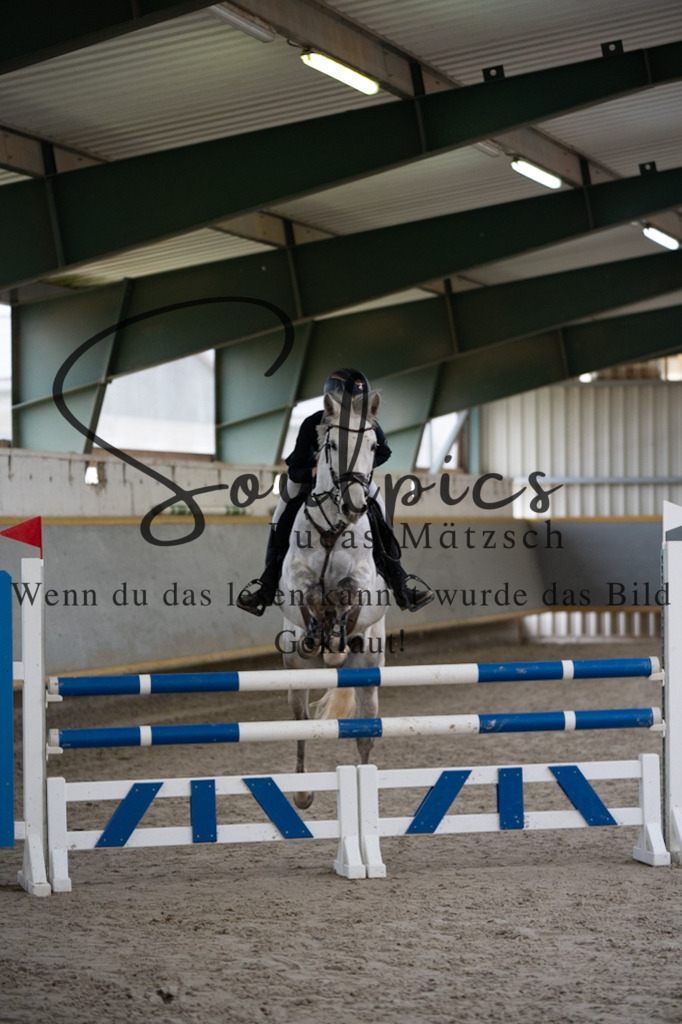 A7V07335 | Pferdefotograf