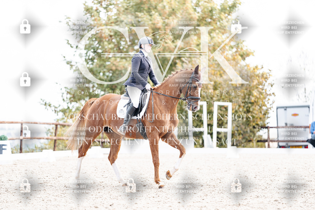 CK901880 | Turnierfotografie Pferdefotografie Trier Rheinland-Pfalz Pferdesport Reitsport Tierfotografie Sportfotografie Pferdevideo Pferdevideografie Equestrianvideography equestrianphotography  - Realisiert mit Pictrs.com