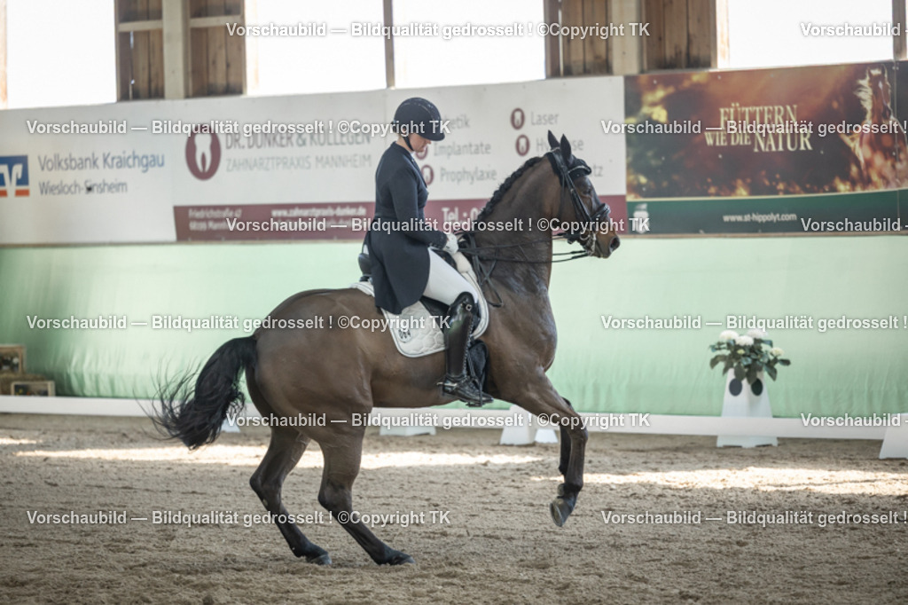 _D5A9902 | Emotionale Pferde- & People-Fotografie rund um Heidelberg, Leimen & Umgebung. Natürliche Fotos von Pferd, Mensch & Familie. Jetzt Termin sichern!