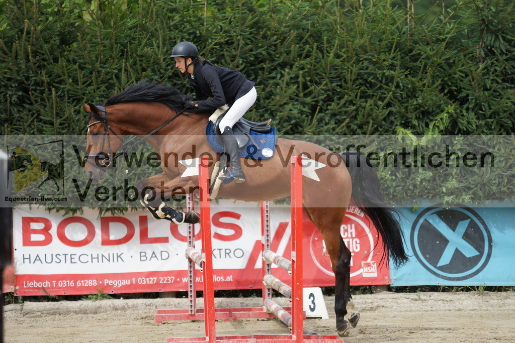 DSC03302 | equestrian-live-com