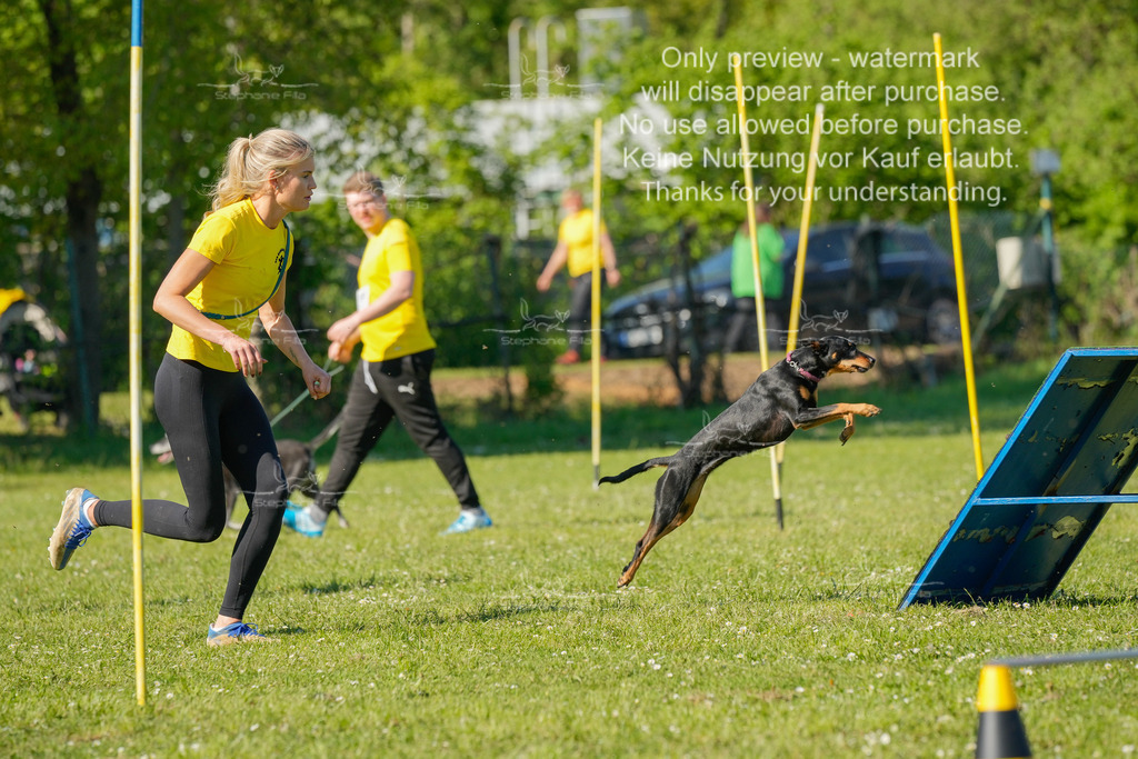 Sa_CSC-421 | stephaniefillaphotographie - Realisiert mit Pictrs.com