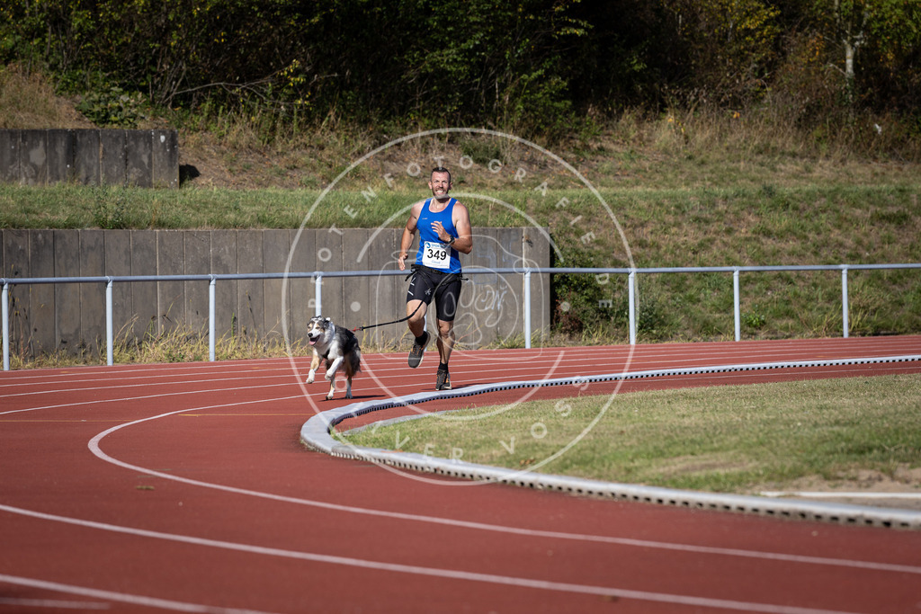 Pfotenfotografie_DV3A9472 | Hundefotografie, Tierfotograf, Pfotenfotografie, Fotoshooting Hund, Hunde Portrait, Hundesport, Hundeportraits, Heideshooting, Hunde, Sportfotograf, Hundefotograf, Turnierhundsport, THS,  - Realisiert mit Pictrs.com