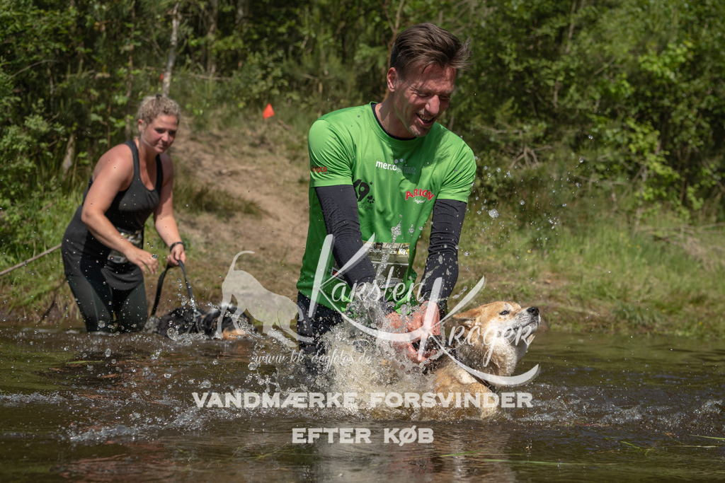 1039DKK991163 | kk-dogfotos