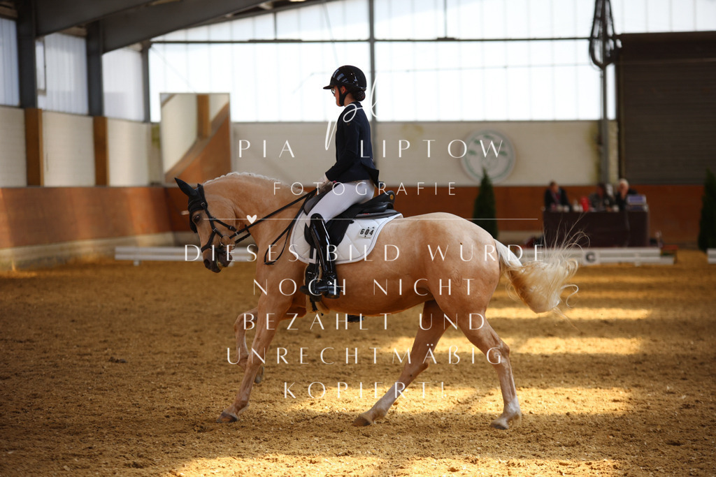 IMGT4907 | pl-fotografie