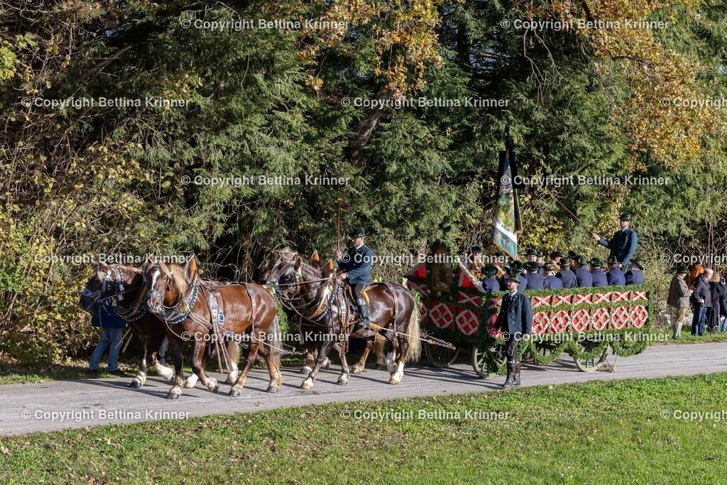 LBT24-271 | foto-bettina-krinner - Realisiert mit Pictrs.com