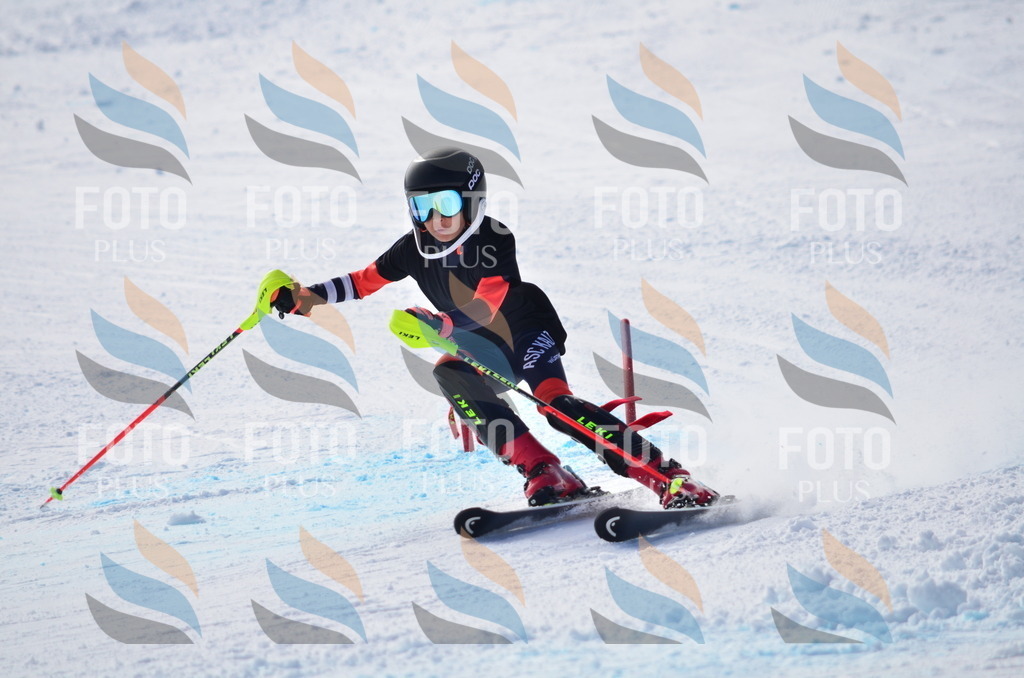 D0030 | holidayphoto