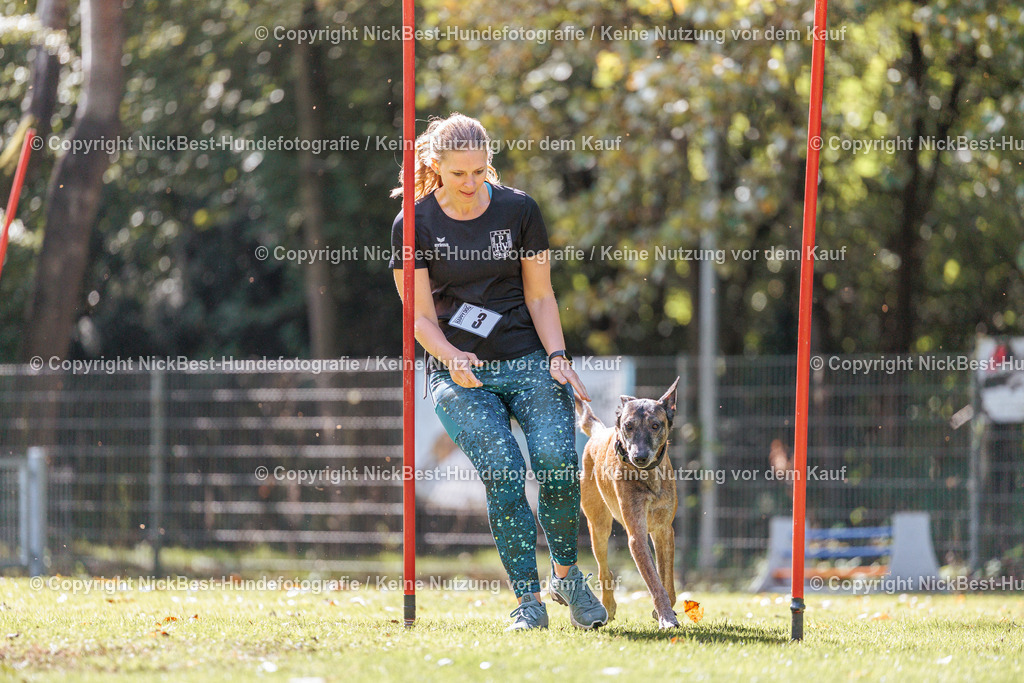 THS-HSV-Blumenthal-2026-Nickbest-Hundefotografie-3720 | Dein Hund! Dein Moment! Deine Erinnerungen! Hundefotografie in Bremen Blumenthal. Ich fange die besonderen Momente deines Vierbeiners ein – ob Indoor mit Blitzanlage oder in der freien Natur. Sicher dir dein Moment und dein Termin für eure Erinnerungen.