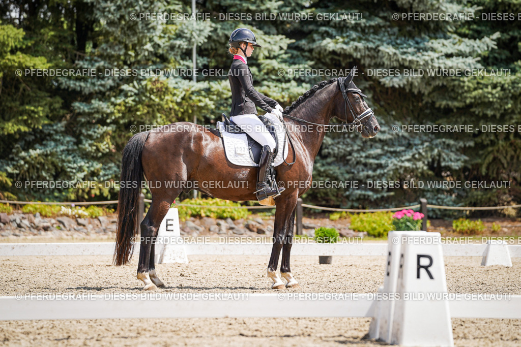 DSC01682 | Pferdegrafie