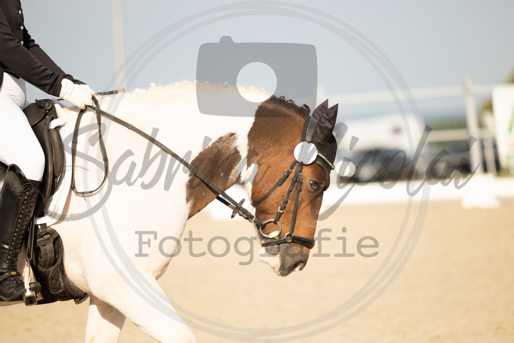994A1010 | sabrinanicolaifotografie - Realisiert mit Pictrs.com