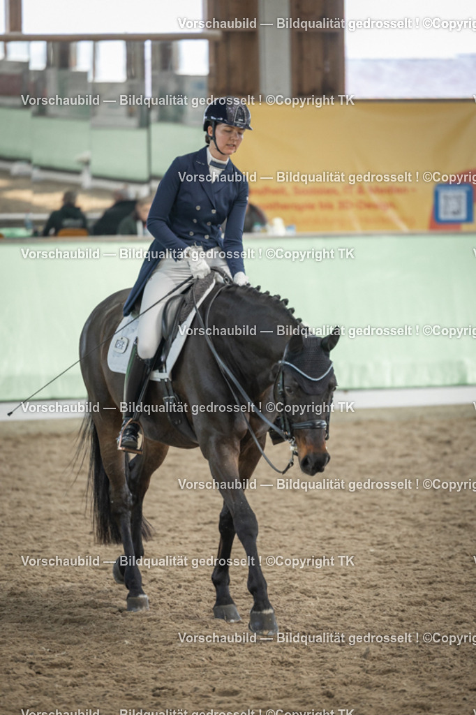 _D5A6571 | Emotionale Pferde- & People-Fotografie rund um Heidelberg, Leimen & Umgebung. Natürliche Fotos von Pferd, Mensch & Familie. Jetzt Termin sichern!