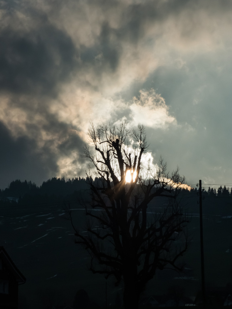 PSX_20230305_224455 | mtkfoto_ - Realisiert mit Pictrs.com