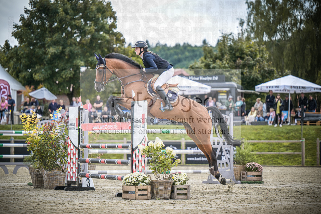 DOS_1035 | Entdecke hochwertige Reitturnierfotos von Foto Oger. Professionell, emotional und authentisch – jetzt Lieblingsmomente im Shop bestellen.Deutschlandweite Turnierfotografie. - Realisiert mit Pictrs.com