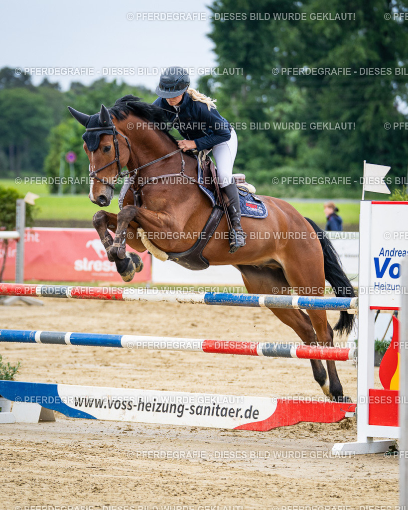 DSC04786 | Pferdegrafie