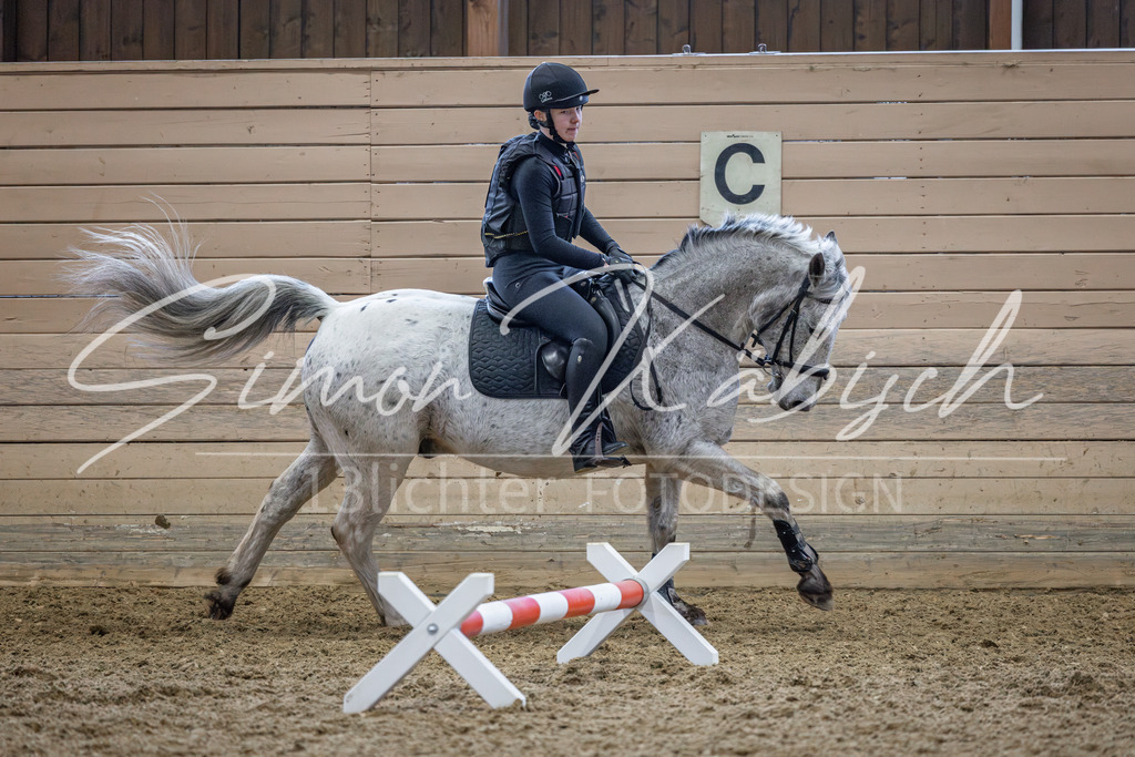 20260221-_3LI9510 | Tierfotografie Pferde, Hunde, Katzen, Haustiere.
Turnierfotografie Reitturniere, Reiten, Springreiten, Dressur in Hanau, dem Main-Kinzig-Kreis und dem Rhein-Main- Gebiet um Frankfurt