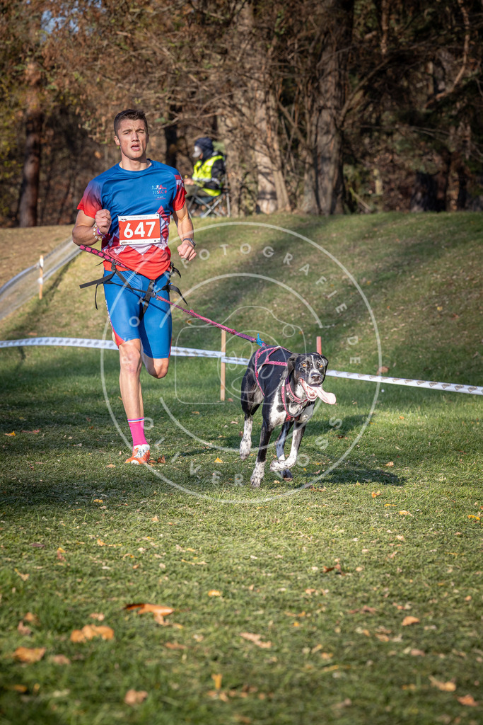 CaniXpix_0L8A9050 | Hundefotografie, Tierfotograf, Pfotenfotografie, Fotoshooting Hund, Hunde Portrait, Hundesport, Hundeportraits, Heideshooting, Hunde, Sportfotograf, Hundefotograf, Turnierhundsport, THS,  - Realisiert mit Pictrs.com