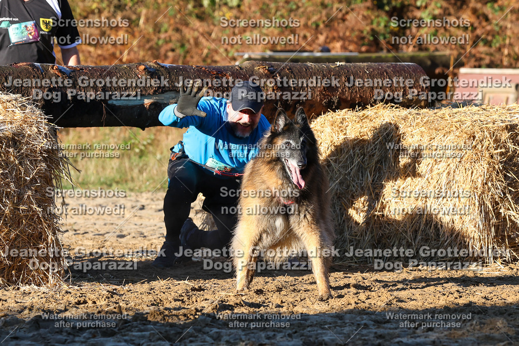 Dog Paparazzi - Strongdog 10-25-989 | Dog Paparazzi Jeanette Grottendiek Fotografie & Videografie - Realisiert mit Pictrs.com