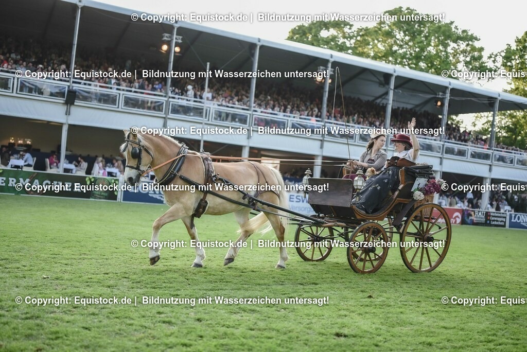 20230526_Pferdenacht_0205 | equistock