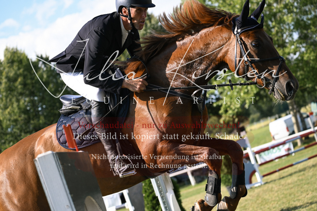 DSC_1488 | Pferde- und Turnierfotografie in Westsachsen. Pferdeportraits, Auftragszeichnungen und intuitive Kunst.