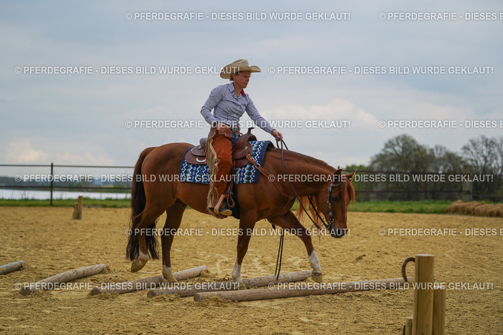 DSC07831 | Pferdegrafie