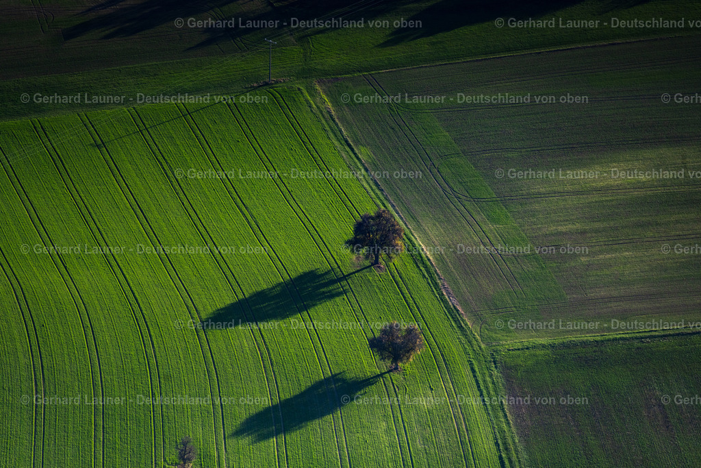 4042785 | HUNDELSHAUSEN 05.11.2020 Baum mit Schattenbildung durch Lichteinstrahlung auf einem Feld in Hundelshausen im Bundesland Bayern, Deutschland. // Tree with shadow forming by light irradiation on a field in Hundelshausen in the state Bavaria, Germany. Foto: Gerhard Launer