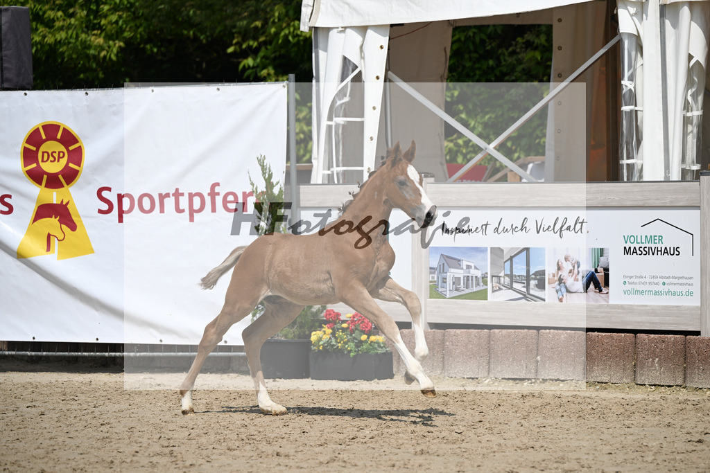 Arezzo Man x Zinedream_HF_Lohmiller_12250415 | hf-fotografie - Realisiert mit Pictrs.com