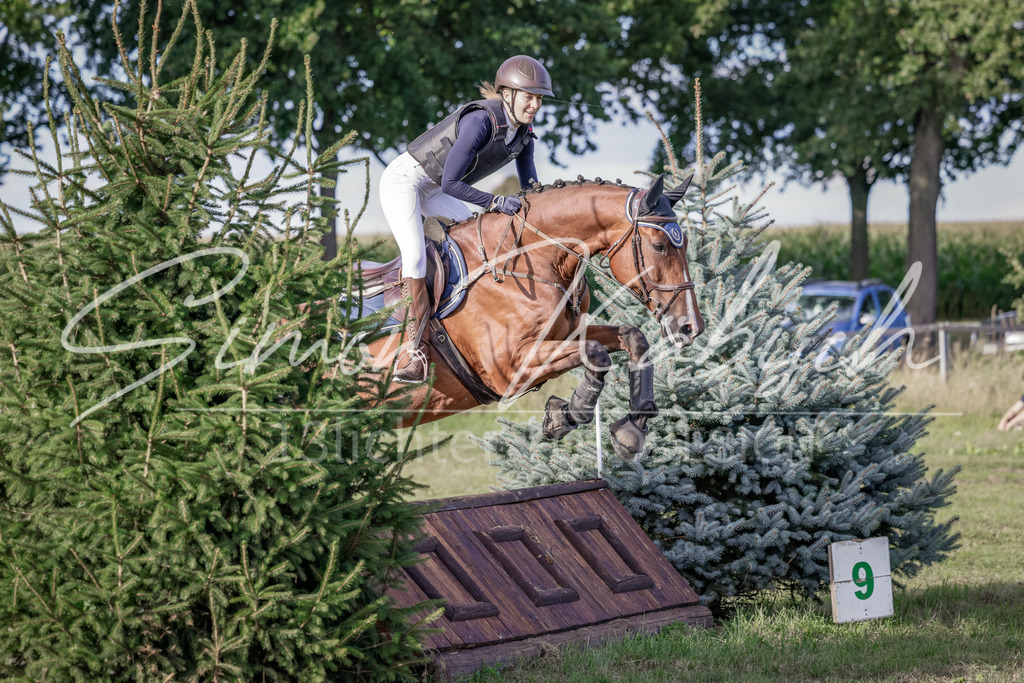20250906-_3LI7532 | Tierfotografie Pferde, Hunde, Katzen, Haustiere.
Turnierfotografie Reitturniere, Reiten, Springreiten, Dressur in Hanau, dem Main-Kinzig-Kreis und dem Rhein-Main- Gebiet um Frankfurt